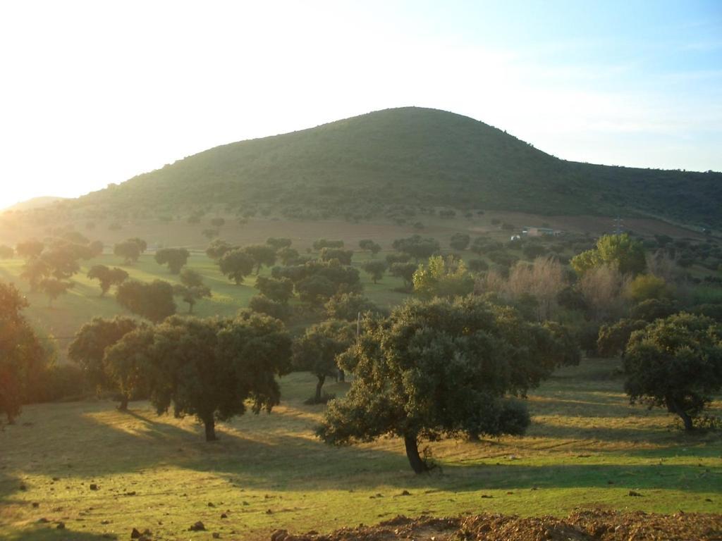 Cortijo El Criadero El Hoyo Zimmer foto